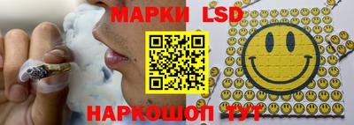 a pvp Сланцы